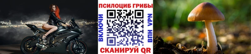 Псилоцибиновые грибы мухоморы Астрахань
