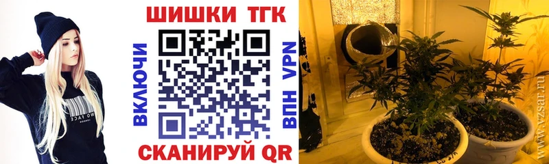 Каннабис планчик Астрахань